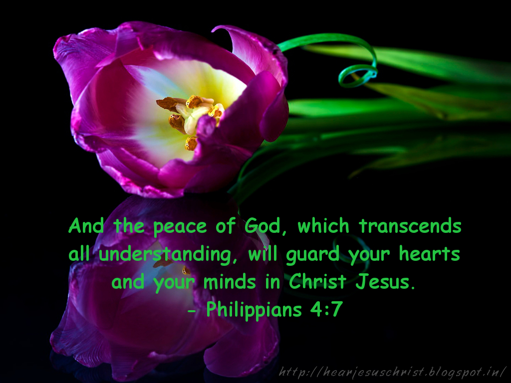 Christian Wallpapers: Bible Verse Wallpaper - Philippians 4:7