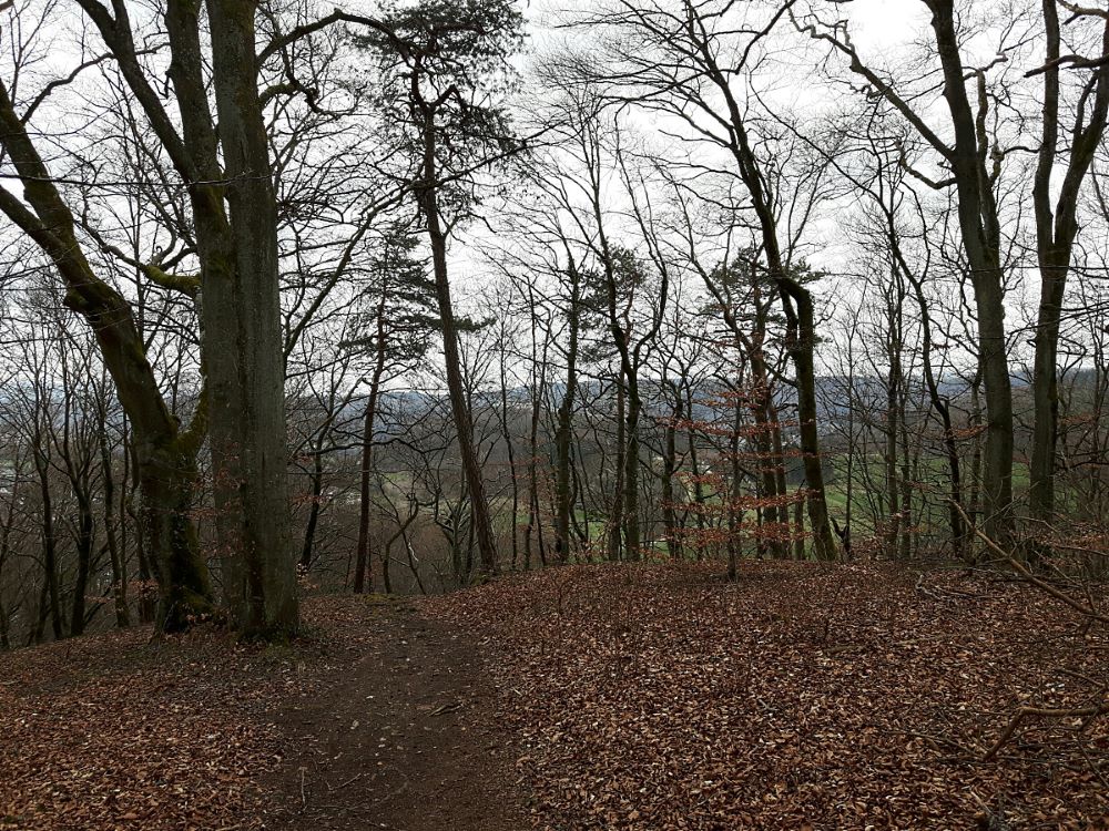 Pin Von Susanne Studer Auf Names Irische Jungennamen Irische