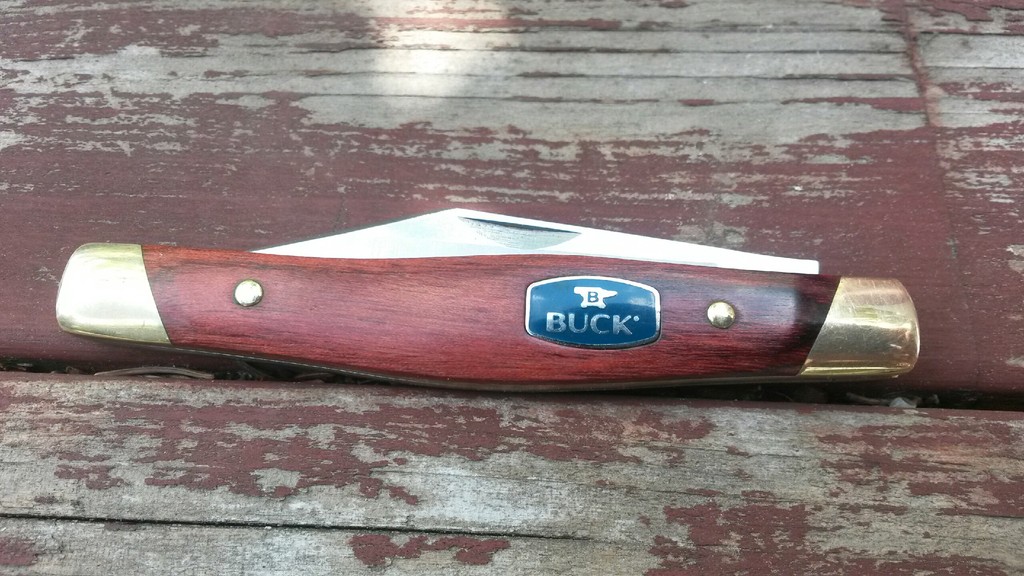 Buck%2B302_zpseezwj64v.jpeg
