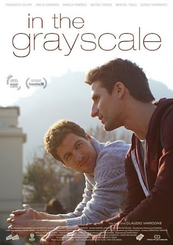 VER ONLINE Y DESCARGAR: En la Gama de los Grises - PELICULA - Chile - 2015