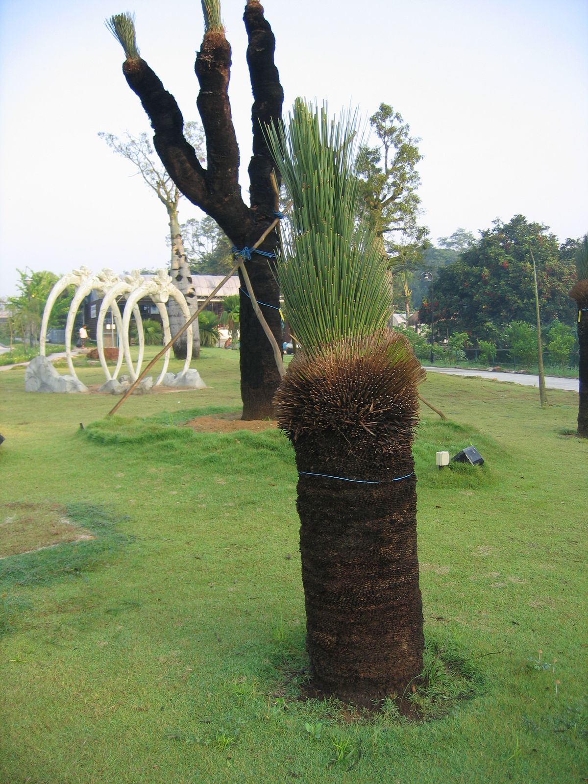 Fly Fishing Journal Yishun Bottle Tree Park