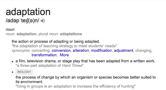 Fiction Adaptation What is adaptation?