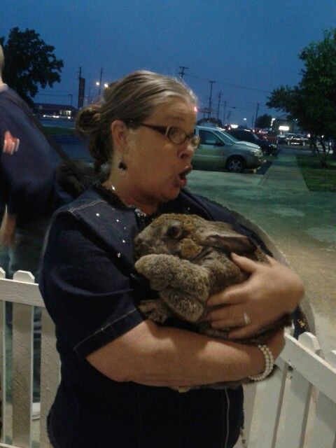 I love rabbits!