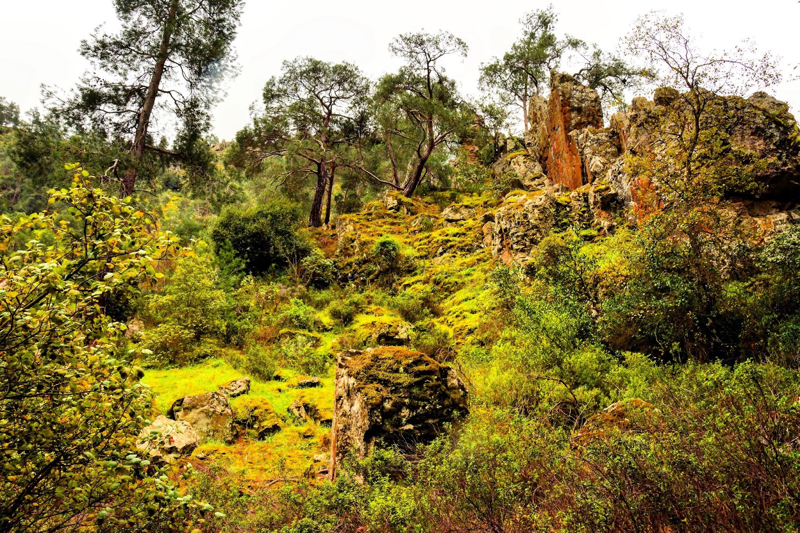 SecretCyprusTravel