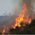 Ενημέρωση   απο την Π.Υ για τις δασικές πυρκαγιές 