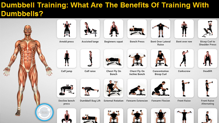 The Benefits of Training with Dumbbells