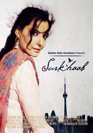 Surkhaab 2015 HDRip 650MB Full Hindi Movie Download 720p