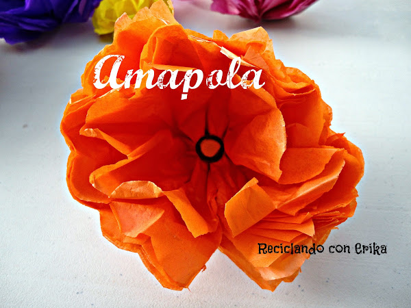 Imagen 0