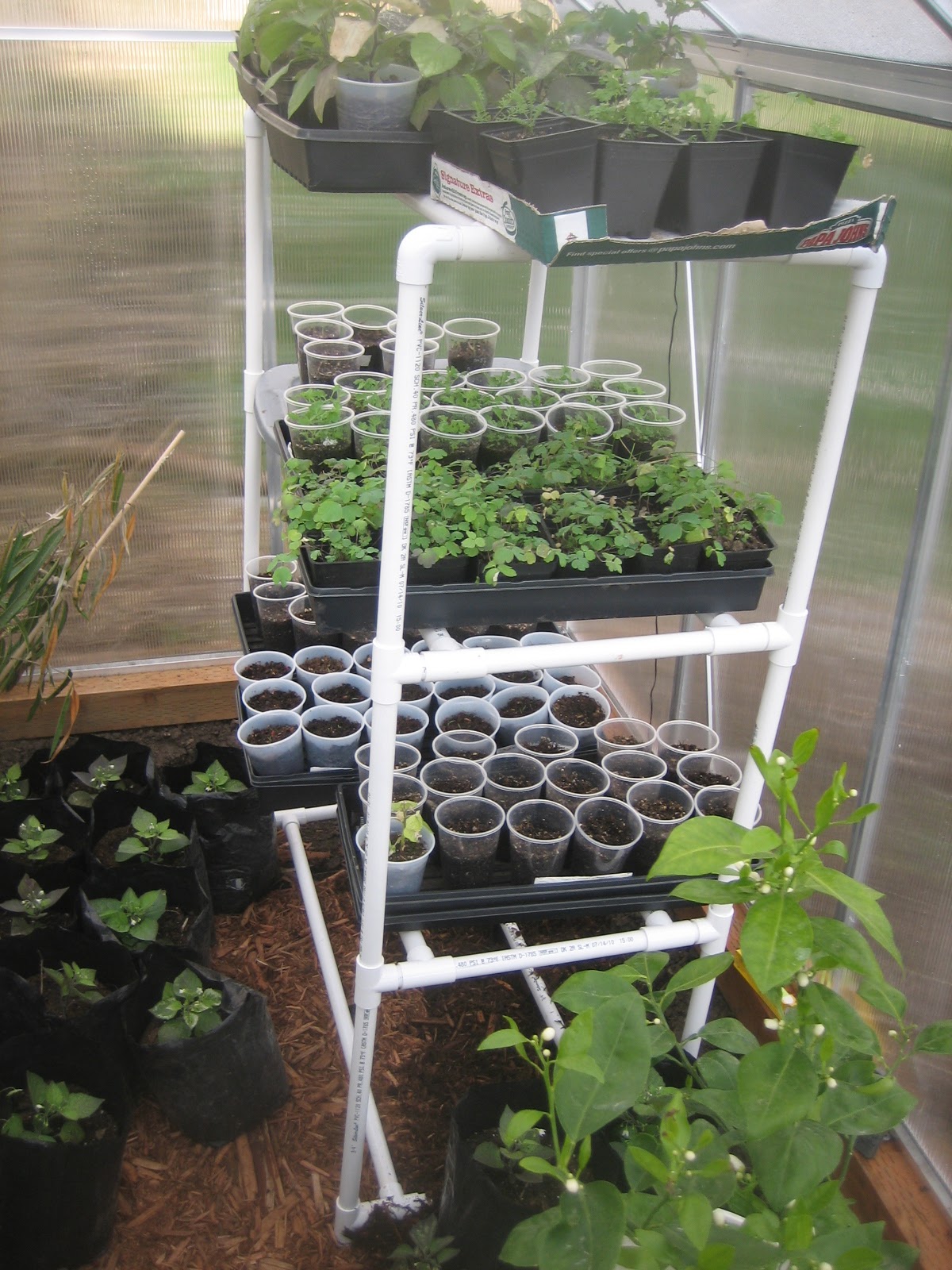 этажерка для рассады на подоконнике своими руками из пвх труб