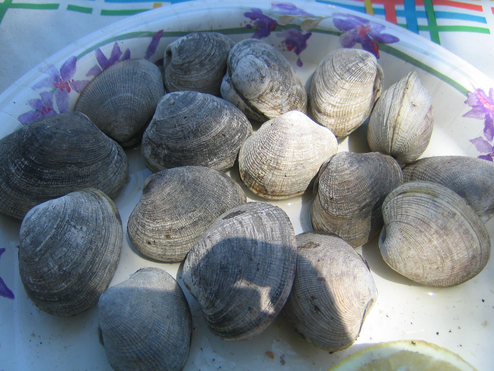 Culinary Musing of a Silicon Valley Mom Enjoying Fresh Oysters at