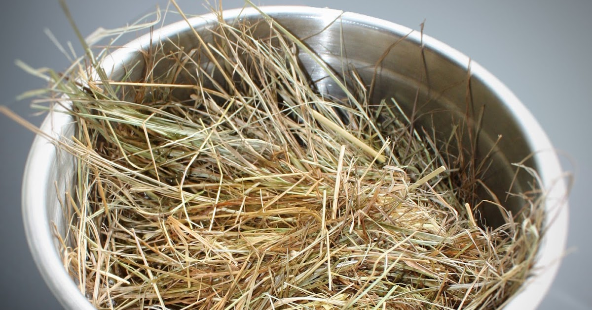 Things About Food Hay, that's delicious Things About Food Hay, that's delicious