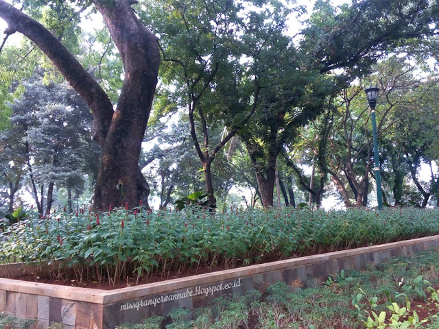 Taman Suropati, Menteng