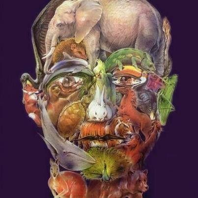  Lukisan  Kepala Penuh Dengan Gambar  Binatang  Dunia 
