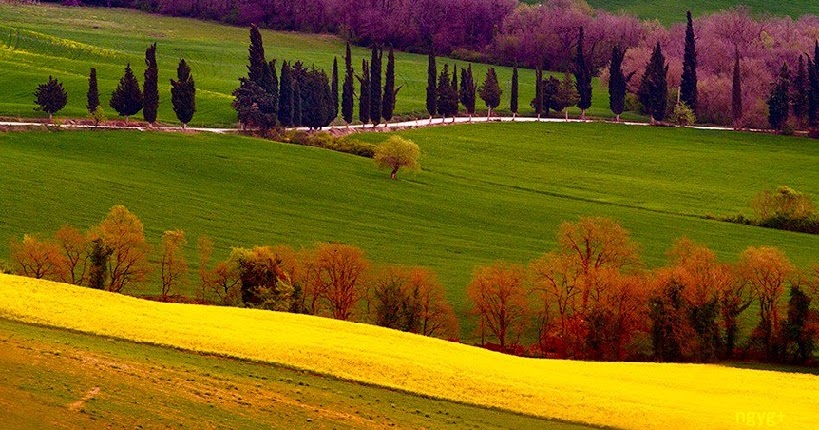 JövőLátó: It is spring again