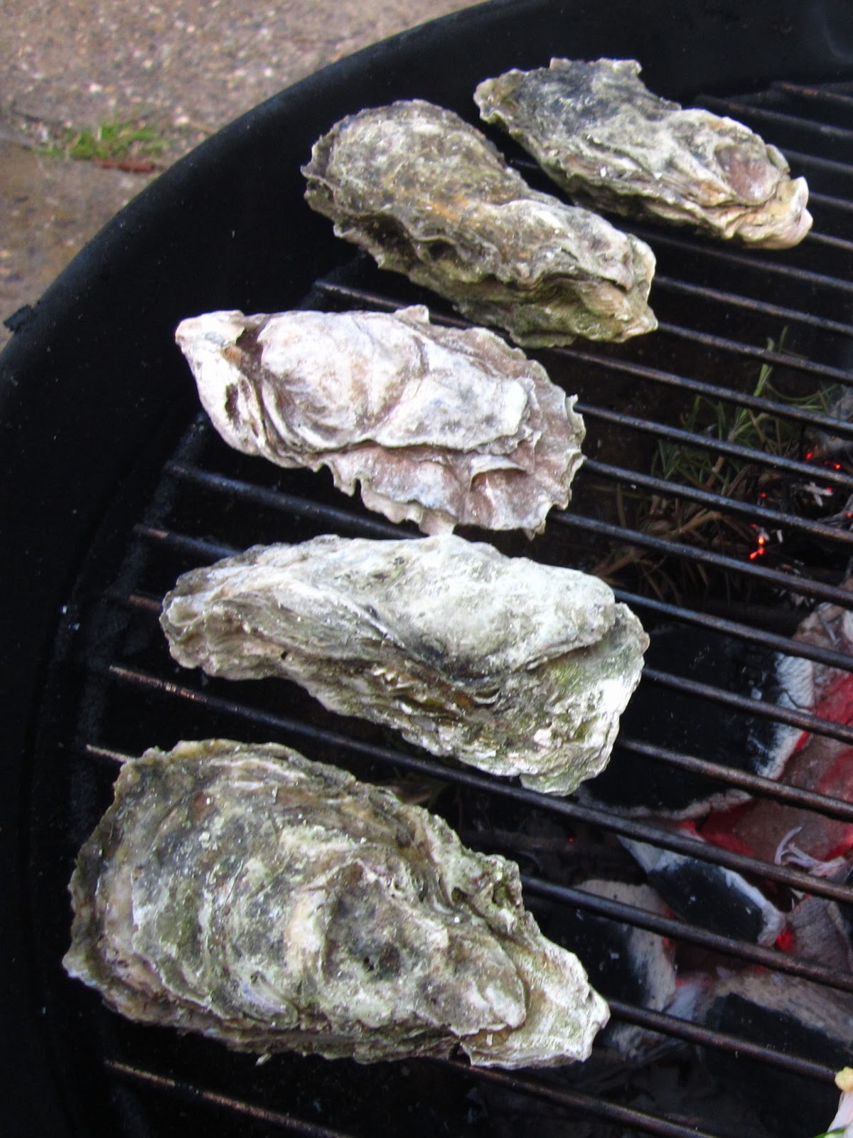 Drakes Bay Oysters