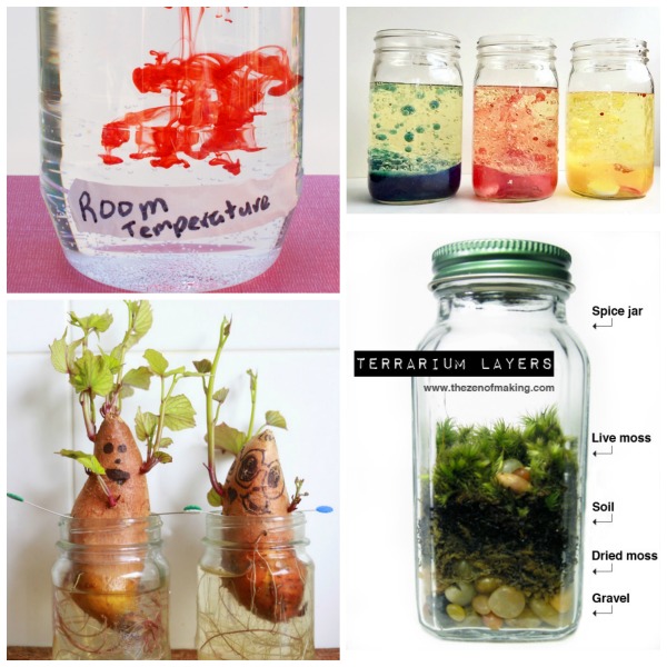 JAR SCIENCE FOR KIDS (30 must-try experiments) #scienceexperimentskids #scienceforkids #sciencexperiments #jarcrafts  #jarscienceexperiments  