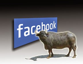 bufale facebook