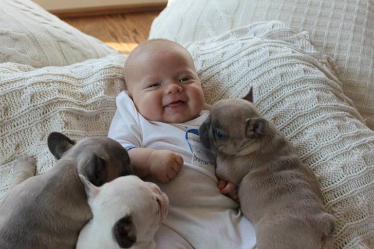 Andanças Medievais: Bebés e cães