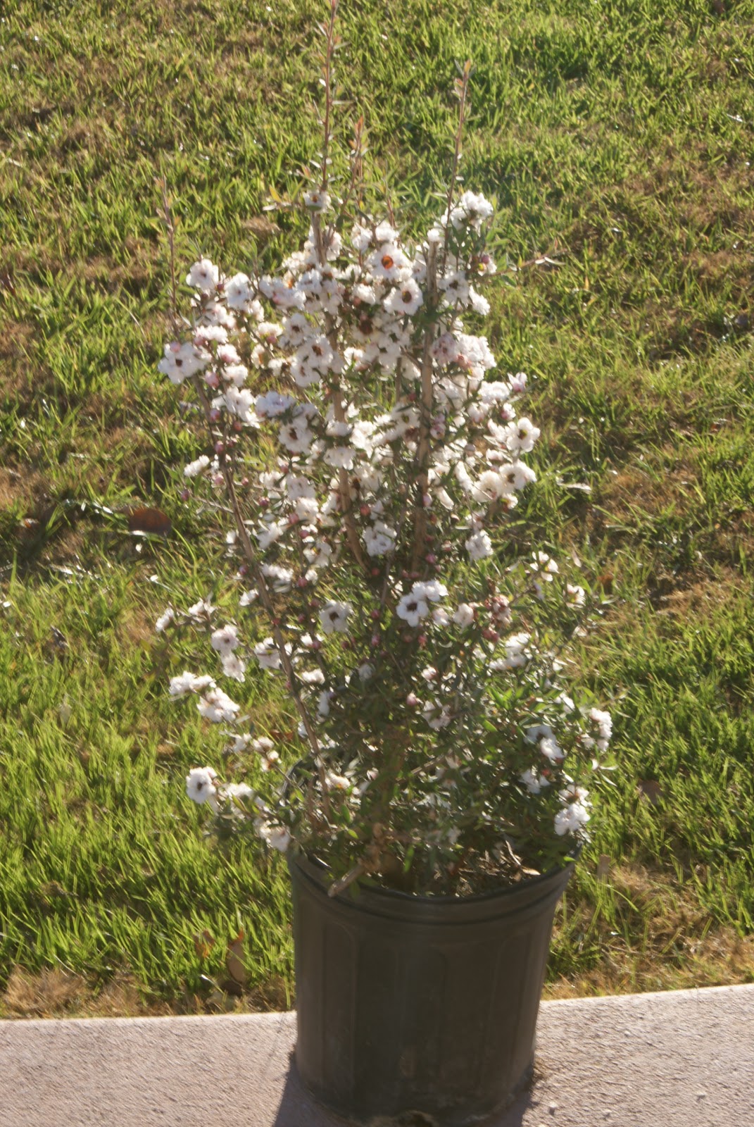 Day By Day New Additions