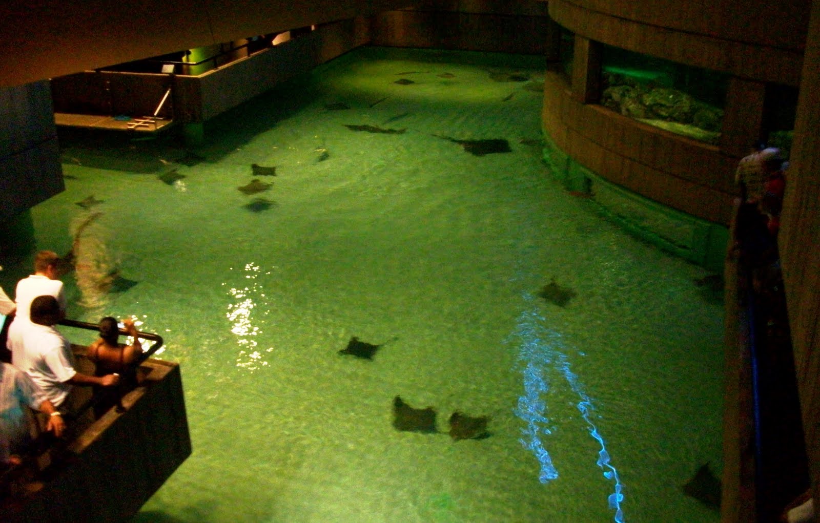 ZooZooReview Top Ten Zoos In the Southeast