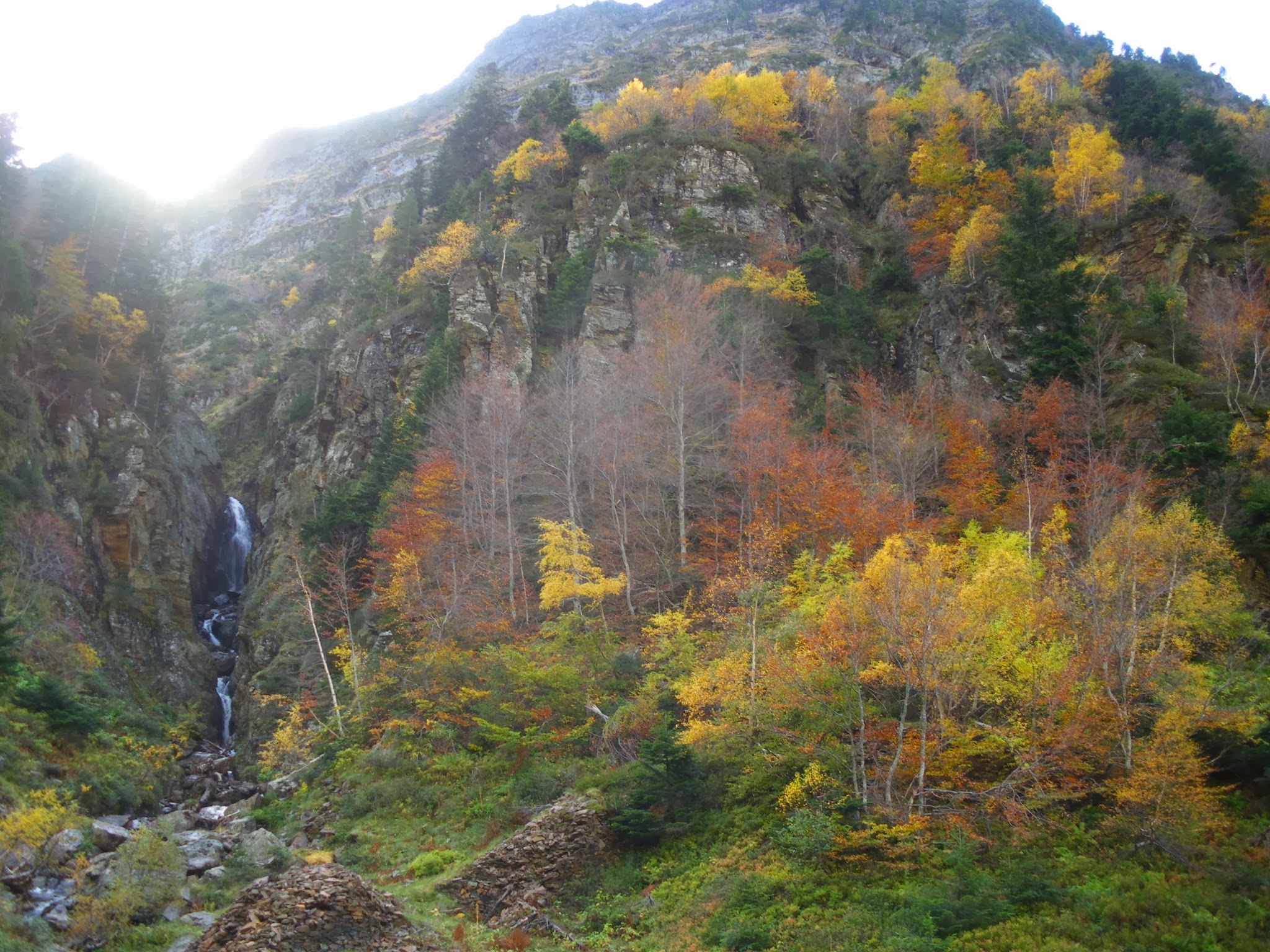 Plan des grauers Vall de Toran Val d'Aran Pirineu de Lleida