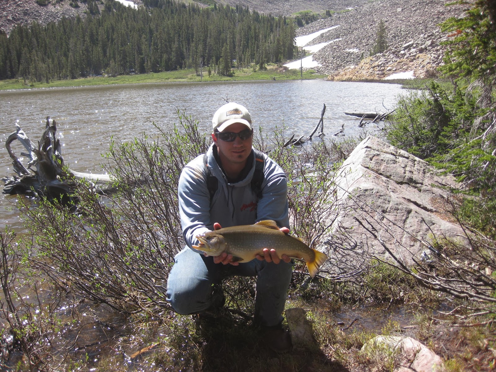 Western Fishing Unlimited Big Brook Trout in the Uinta Mountains