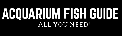 Aquarium Fish Guides