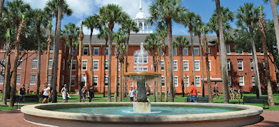 South Florida Online Colleges