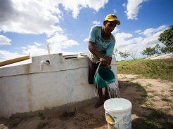 Estiagem leva governo de Alagoas a decretar situação de emergência em 38 municípios
