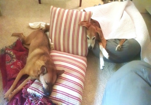 If you've scrolled down this far, you deserve a nap!