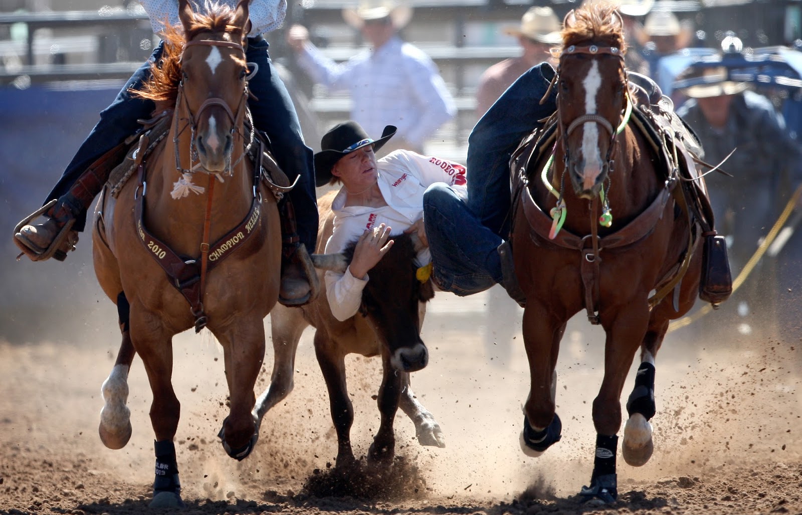Benjamin Zack Photography High School Rodeo