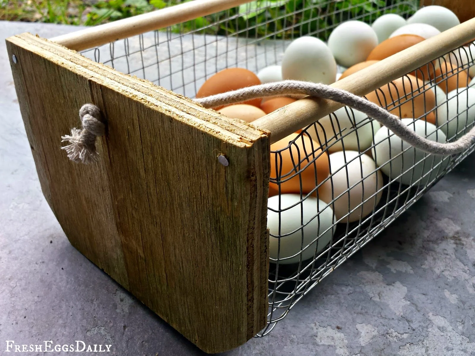 DIY Wood and Wire New England Clam Hod Egg Basket - Fresh Eggs