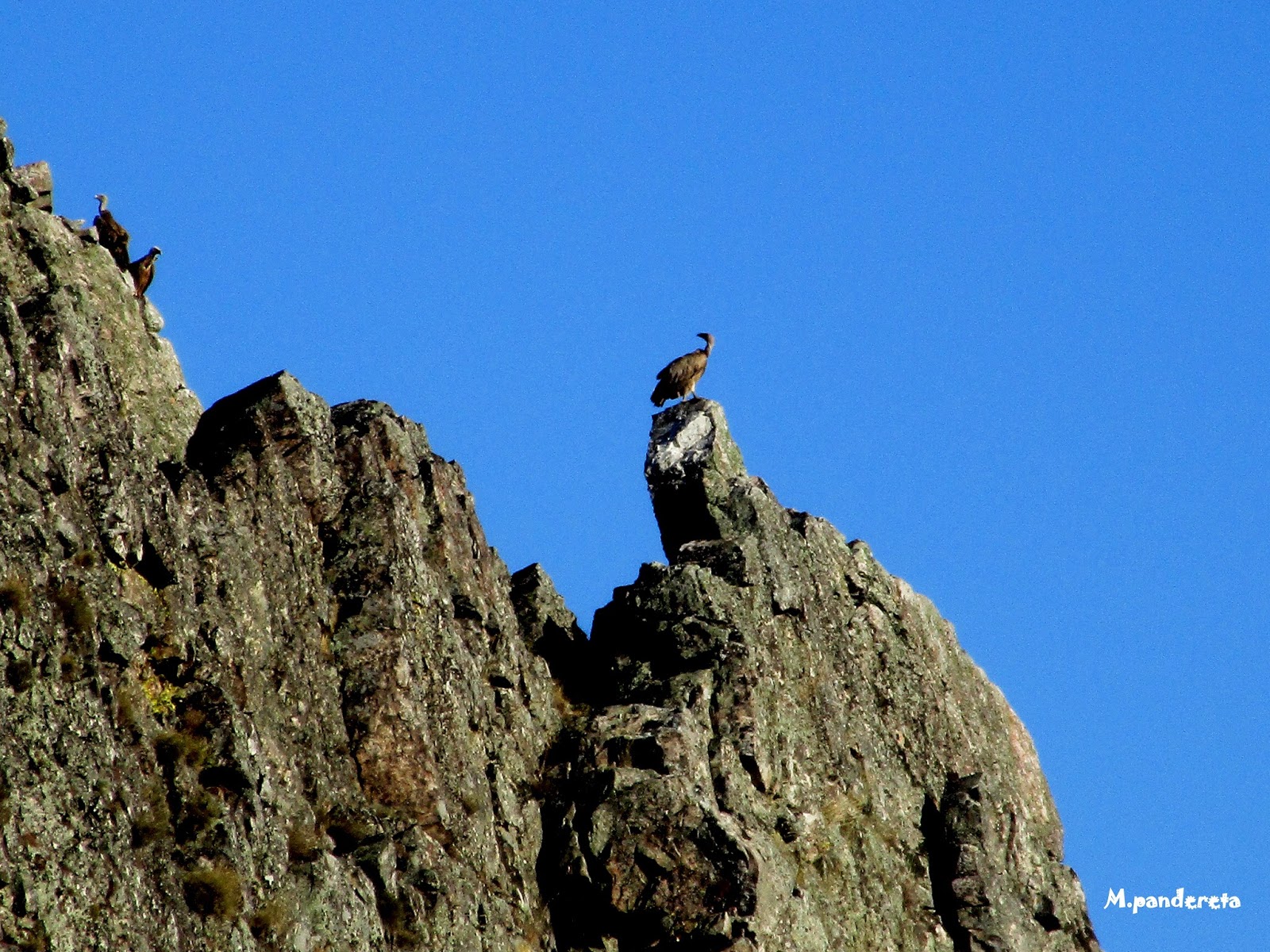 "Se ha escrito en Huertas": Capitulo 847: Visita a la cueva y posterior