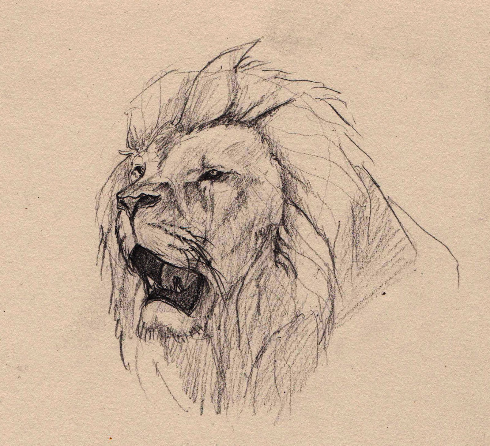 11+ Live Draw Hk Lion