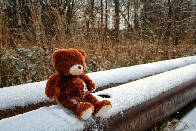 Утро На Бьорновой Опушке