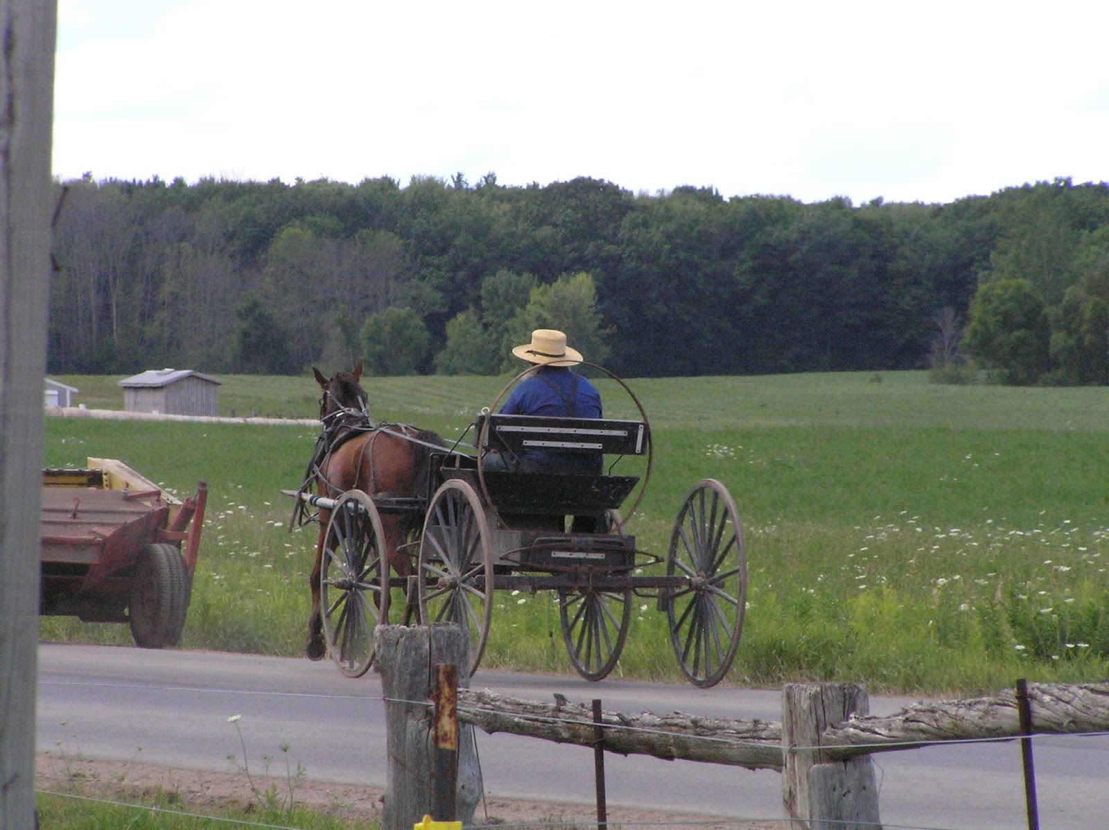 New York State of Mind AMISH PICTURES FROM CLARE REGION IN MICHIGAN