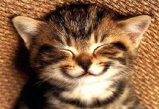 Kucing Tersenyum
