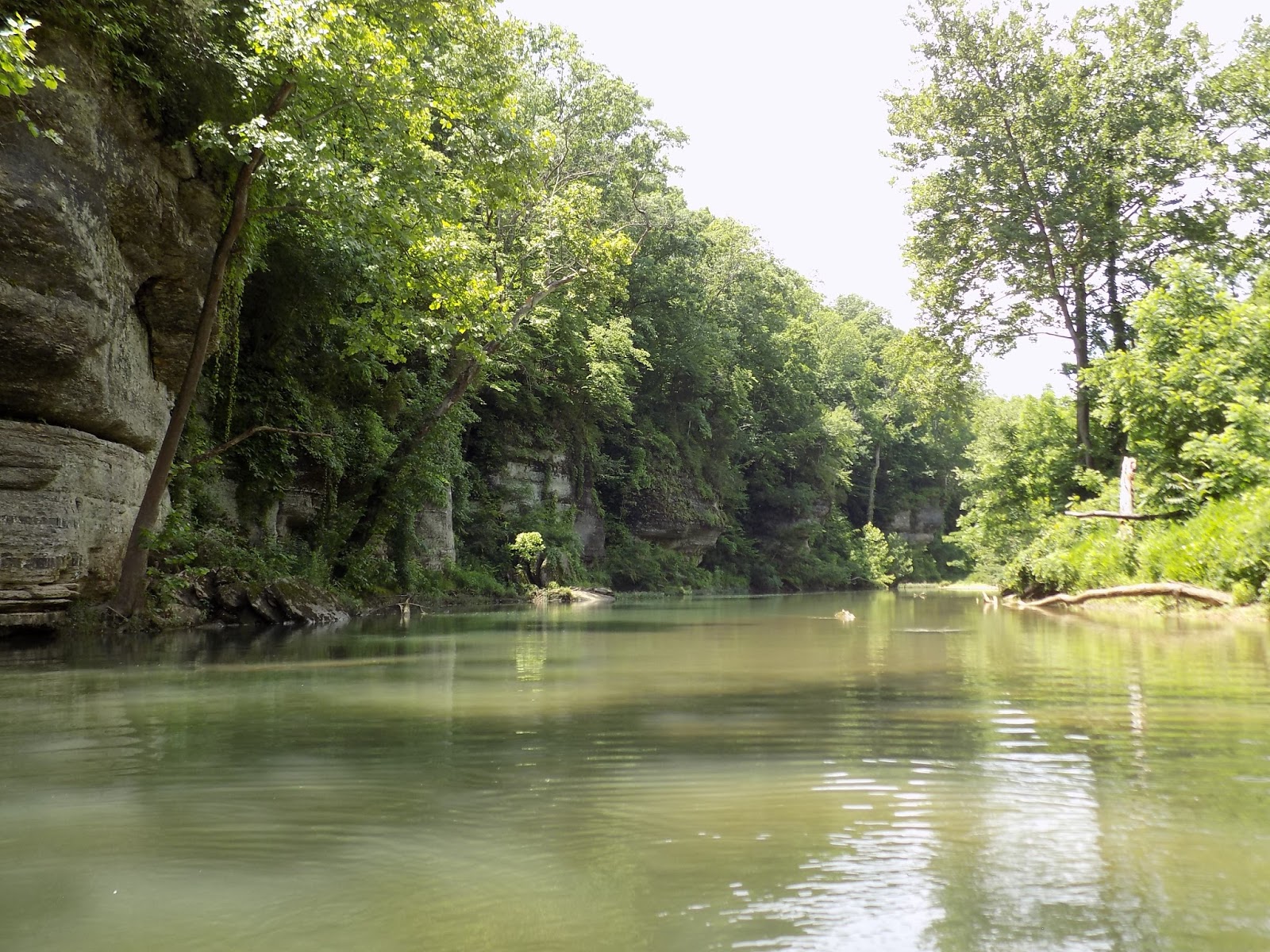 Paddle Tennessee Piney River Pinewood Canoe and Camp
