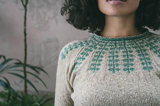 alarm Bliv oppe lette A Woolly Yarn: Review of Pompom Quarterly Number 28 - The Botanical Issue