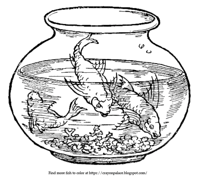 Color these fish in a bowl | Crayon Palace