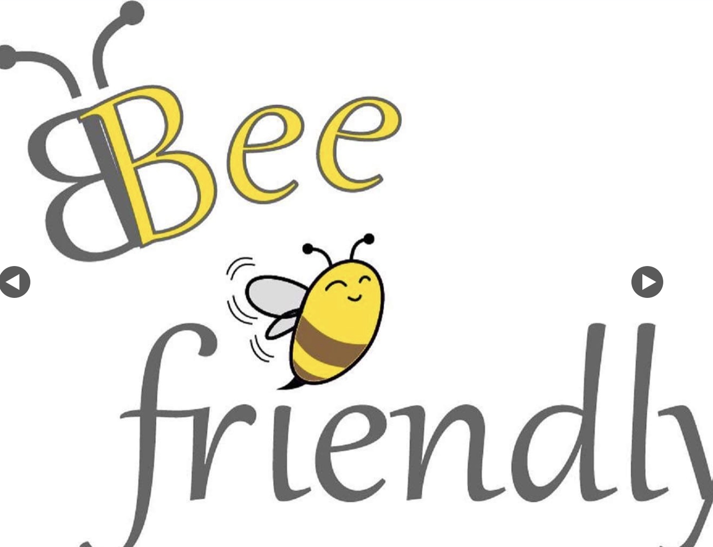 Collaborazione Bee Friendly
