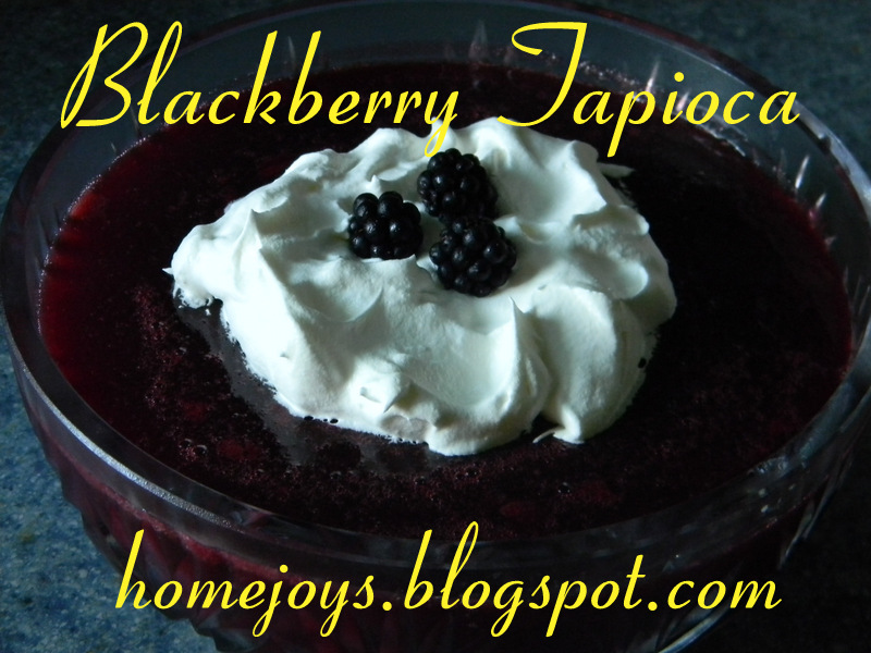 Home Joys Raspberry Tapioca With Blackberries?