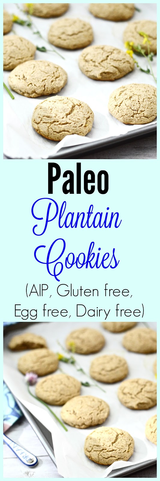 Pure and Simple Nourishment Plantain Cookies (Paleo, Gluten Free, AIP, Dairy Free, Egg Free