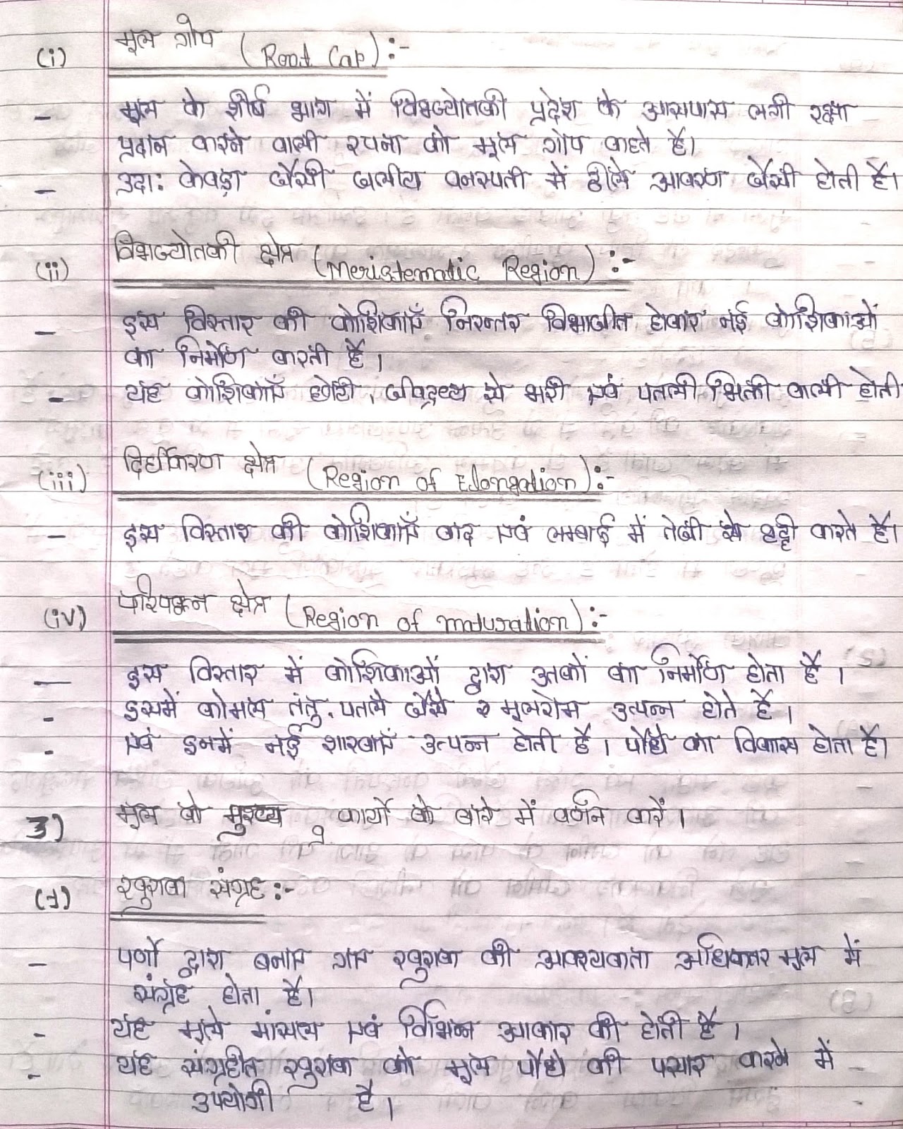 Leaves the food factory of plants class 4 picture