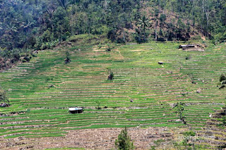 situs baturrana karanglewas banyumas