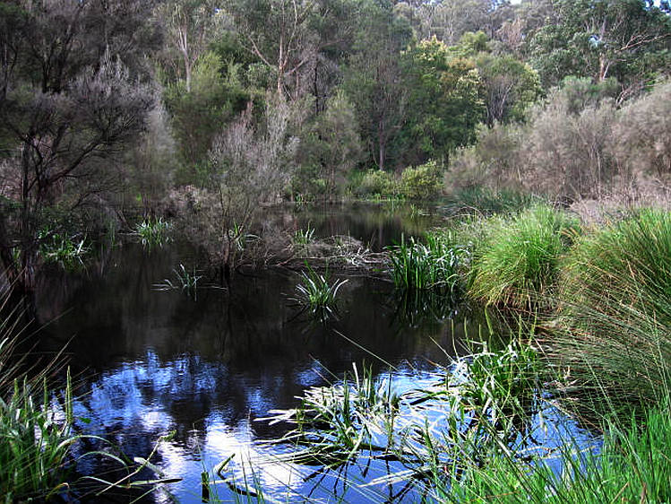 TRACKS, TRAILS AND COASTS NEAR MELBOURNE Sweeney's Flats Eltham