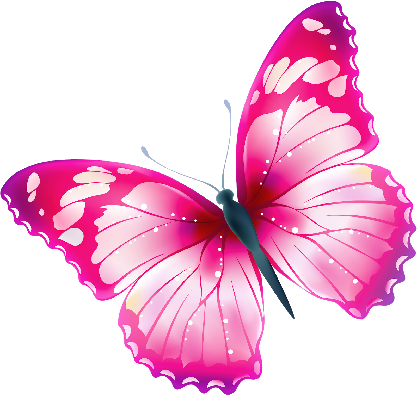 Розовые бабочки. Бабочки на белом фоне. Бабочка рисунок. Прозрачная бабочка пнг