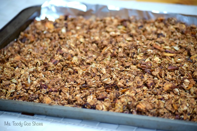 Homemade Granola: Delicious, healthy, and economical. Mixes up in a few minutes | Ms. Toody Goo Shoes #granola