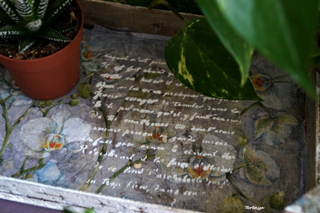 como-reciclar-caja-de-fresas