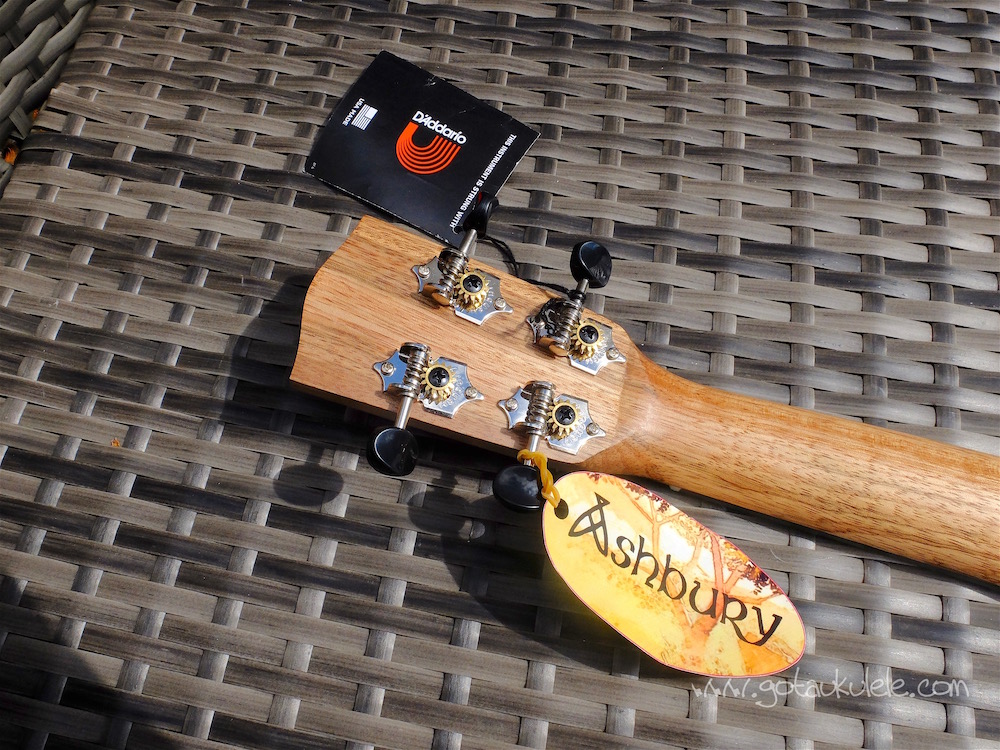 Ashbury AU50 Concert Ukulele REVIEW